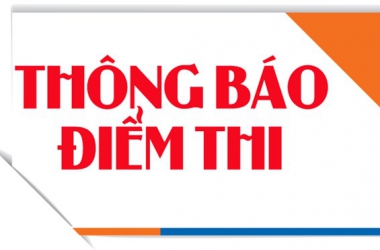 Công bố điểm và tiếp nhận đơn phúc khảo bài luận, bài kiểm tra đánh giá tuyển sinh đào tạo trình độ thạc sĩ; tuyển sinh đào tạo trình độ đại học VLVH năm học 2024 - 2026 (tuyển sinh bổ sung)